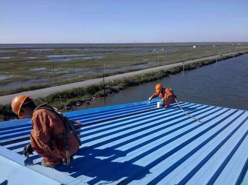 红坪镇彩钢瓦屋面防腐翻新